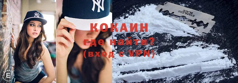 Cocaine FishScale  купить закладку  Болхов 